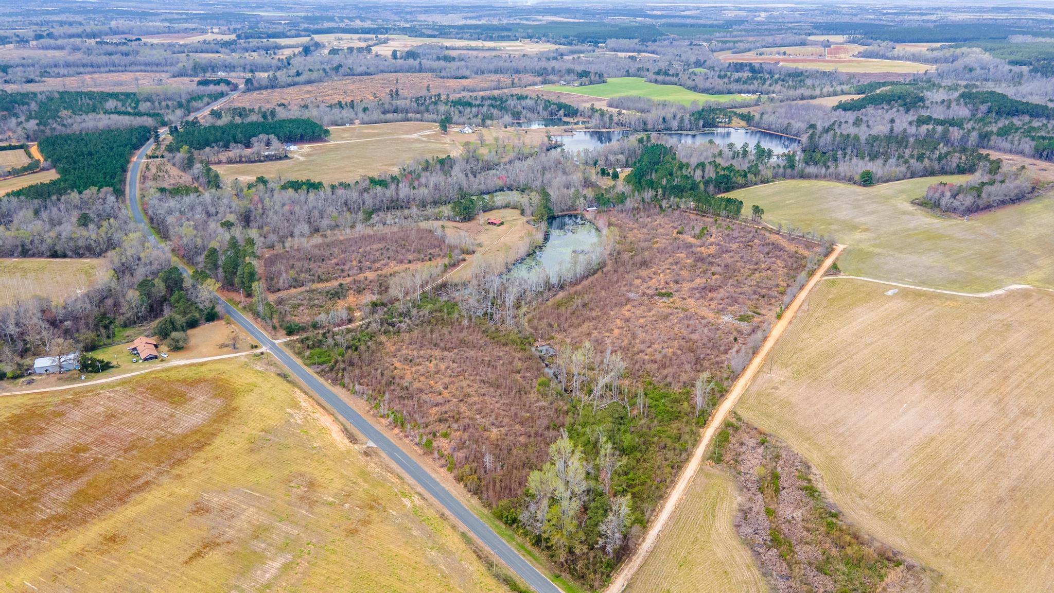 1420 Baltic Road Blackville, SC 29817 - Photo 12 of 22