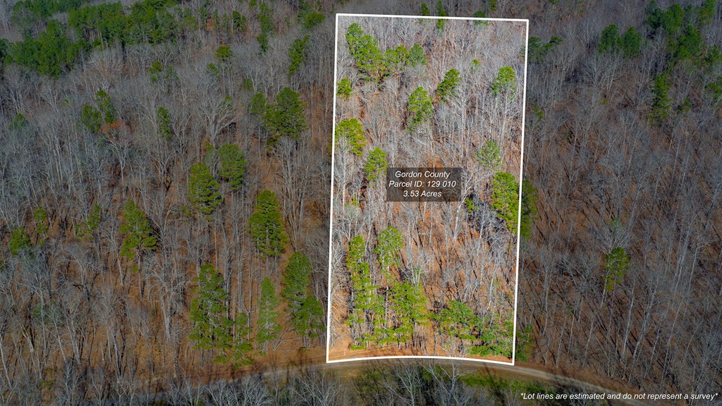 0 Rambling Road Talking Rock, GA 30175 - Photo 3 of 15 Gallery Image 3