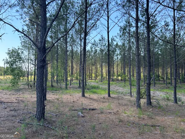 a view of outdoor space and trees