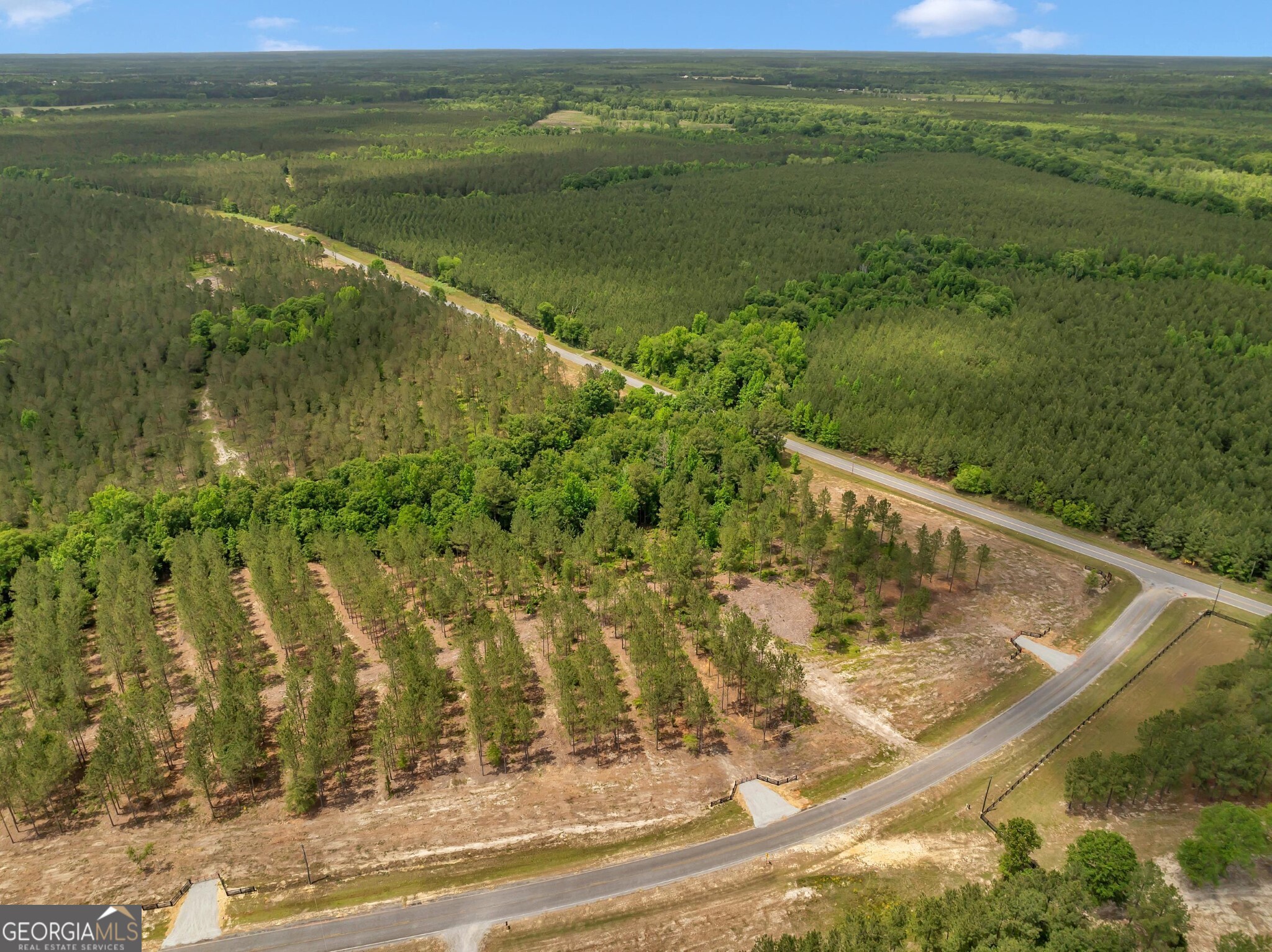 0 Dewey Thomas Road, Unit LOT 14 Dexter, GA 31019 - Photo 9 of 13 a view of a lake from a yard