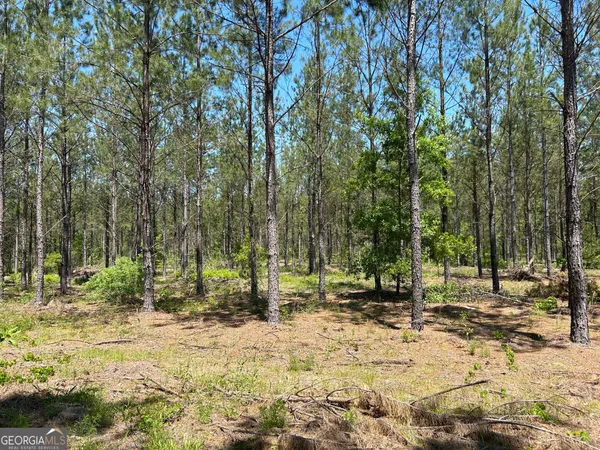 a view of outdoor space with trees
