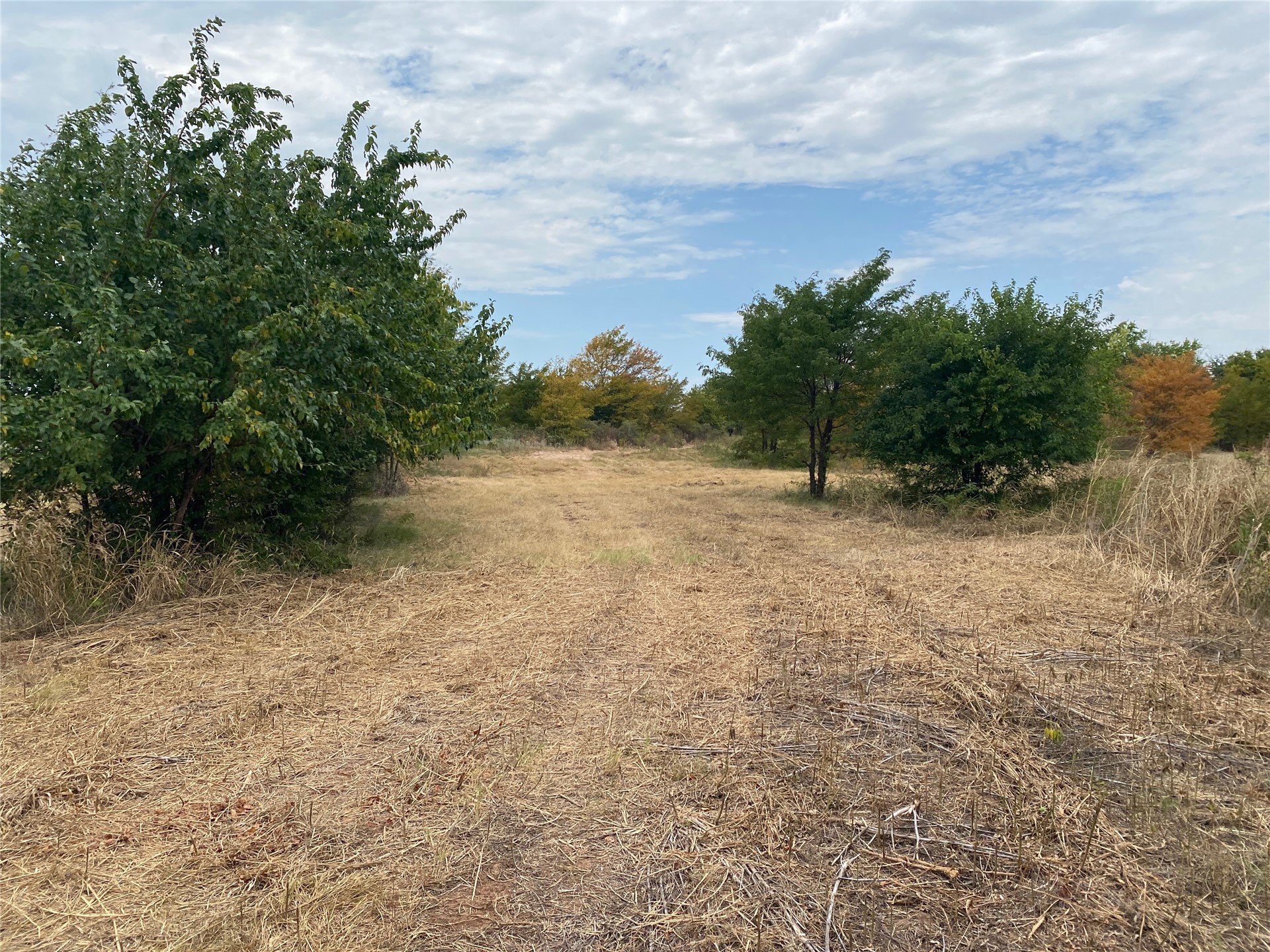 0 Mac Frazier Road Leon, OK 73441 - Photo 26 of 28 Additional content