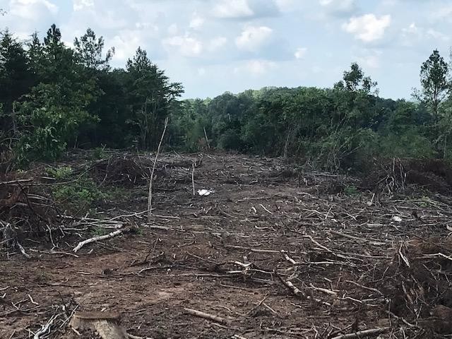 7 County Road 963 Calhoun, TN 37309 - Photo 5 of 10