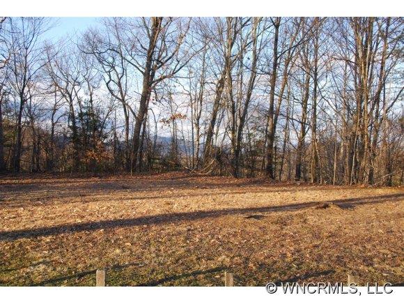 0 Ridge Road Waynesville, NC 28786 - Photo 1 of 8 Gallery Image 1