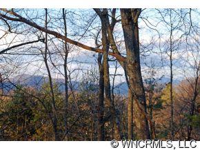 0 Ridge Road Waynesville, NC 28786 - Photo 2 of 8 Gallery Image 2