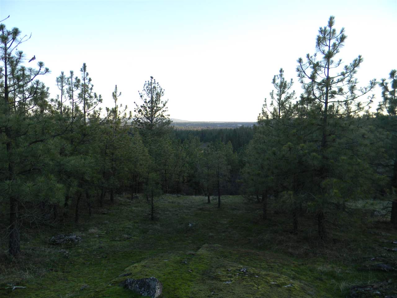 1302 West Austin Road, Unit LOT 3 Spokane, WA 99208 - Photo 2 of 6