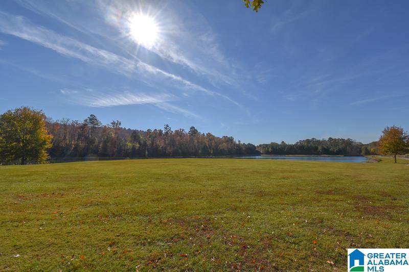 1164 Forest Lakes Way Sterrett, AL 35147 - Photo 26 of 26