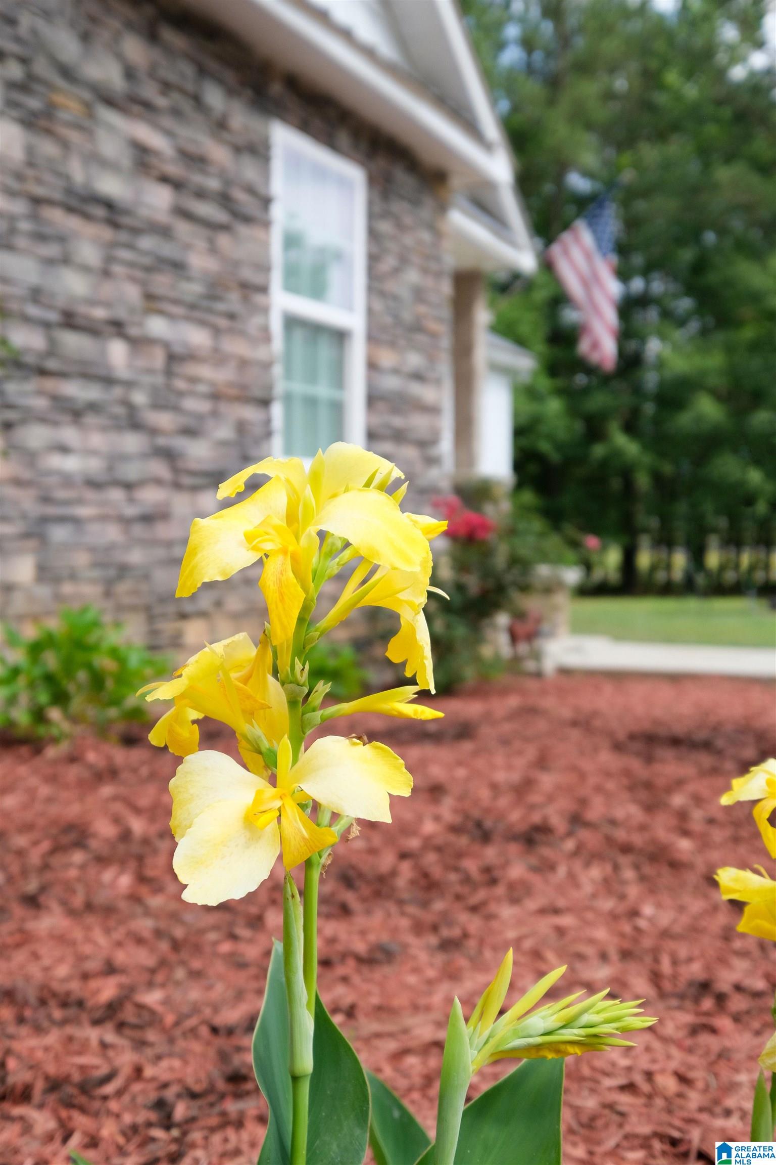 122 Taylor Ridge Road Leesburg, AL 35983 - Photo 23 of 36 Gallery Image 23
