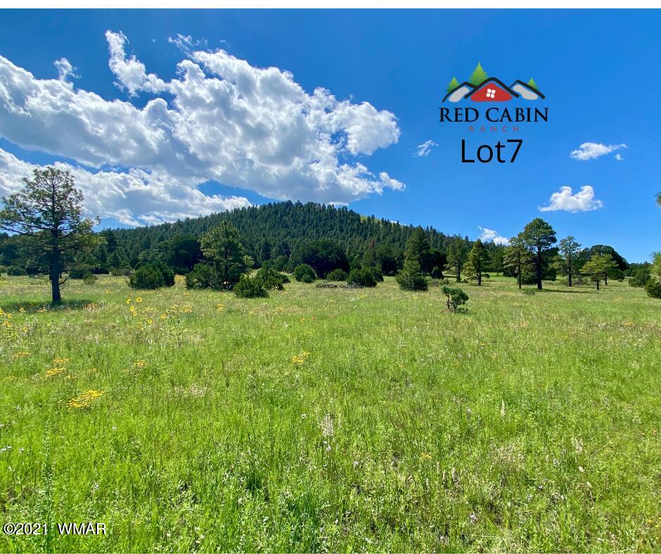 Lot 7 Red Cabin Ranch Vernon, AZ 85940 - Photo 2 of 21 Lot 7