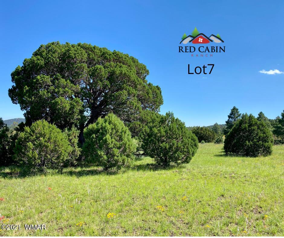 Lot 7 Red Cabin Ranch Vernon, AZ 85940 - Photo 8 of 21 Lot 7
