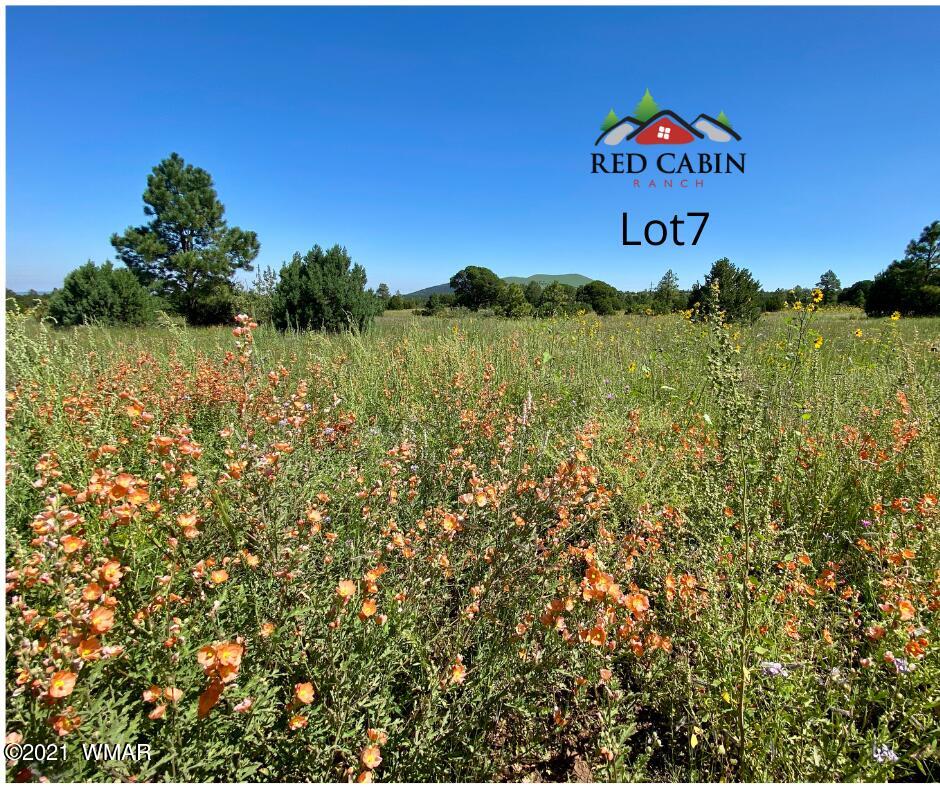 Lot 7 Red Cabin Ranch Vernon, AZ 85940 - Photo 9 of 21 Lot 7