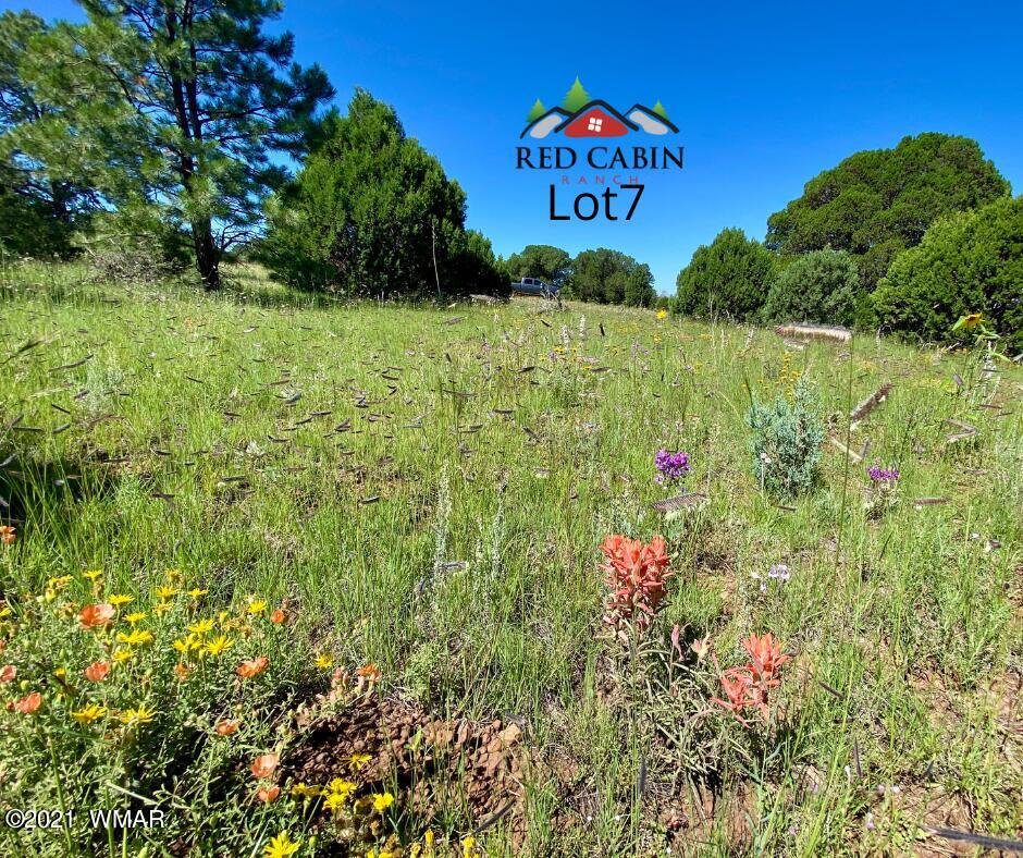Lot 7 Red Cabin Ranch Vernon, AZ 85940 - Photo 10 of 21 Lot 7