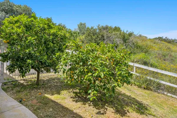 a view of livingroom with furniture and front door