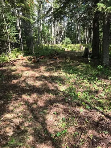 $49,000 | 61.0 Rg: 19 Lot: Blk: Ac, Angora, MN 55703