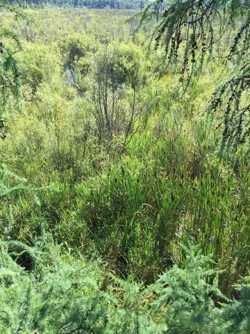 $49,000 | 61.0 Rg: 19 Lot: Blk: Ac, Angora, MN 55703