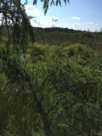 $49,000 | 61.0 Rg: 19 Lot: Blk: Ac, Angora, MN 55703