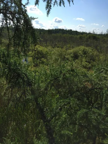 $49,000 | 61.0 Rg: 19 Lot: Blk: Ac, Angora, MN 55703