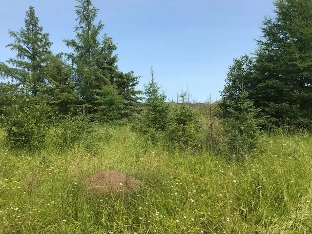 $49,000 | 61.0 Rg: 19 Lot: Blk: Ac, Angora, MN 55703