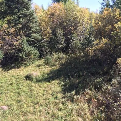 $49,000 | 61.0 Rg: 19 Lot: Blk: Ac, Angora, MN 55703