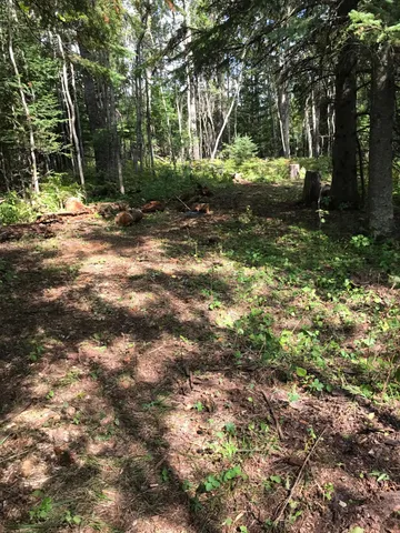 $49,000 | 61.0 Rg: 19 Lot: Blk: Ac, Angora, MN 55703