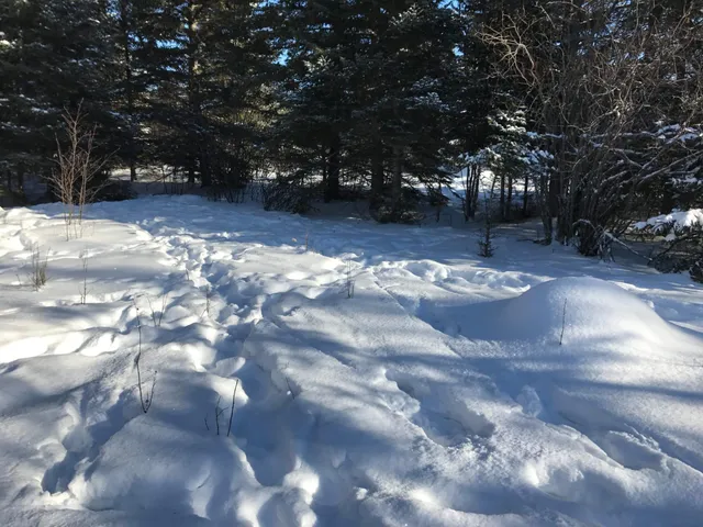 $49,000 | 61.0 Rg: 19 Lot: Blk: Ac, Angora, MN 55703