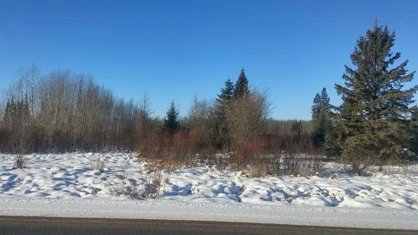 $49,000 | 61.0 Rg: 19 Lot: Blk: Ac, Angora, MN 55703