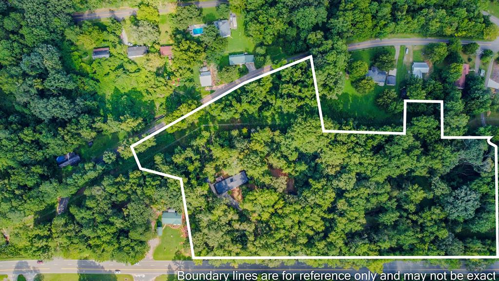 a view of a yard with plants