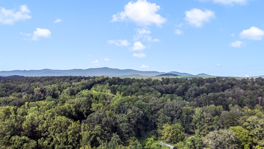 2063 Canton Road Nelson, GA 30143 - Photo 11 of 19 a view of a city with lush green forest