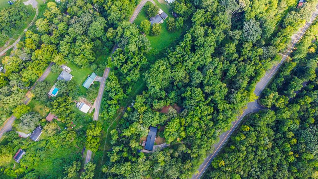 2063 Canton Road Nelson, GA 30143 - Photo 12 of 19 a backyard of a house with lots of green space