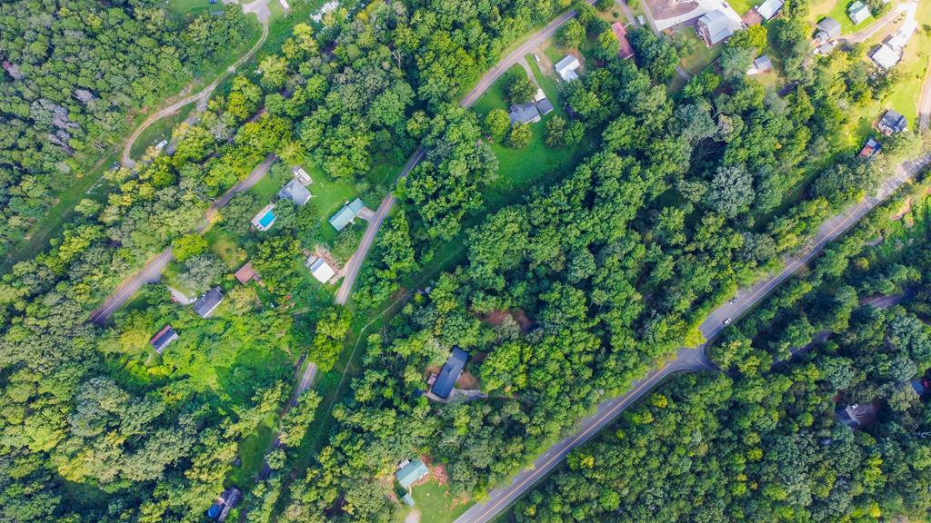 2063 Canton Road Nelson, GA 30143 - Photo 15 of 19 a view of a garden with a plant