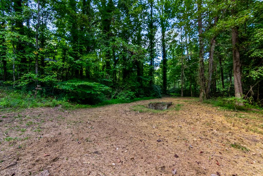 2063 Canton Road Nelson, GA 30143 - Photo 3 of 19 a backyard of a house with lots of green space