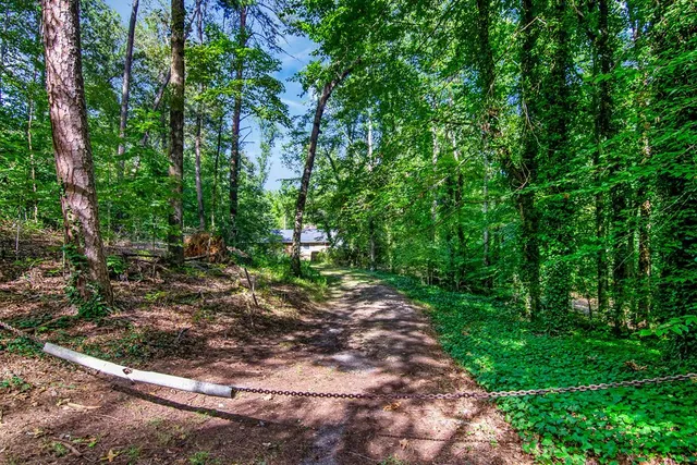 a view of a city with lush green forest