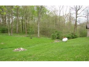 6855 North Maple Grove Road Bloomington, IN 47404 - Photo 2 of 2