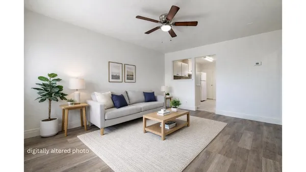 a living room with furniture and a potted plant