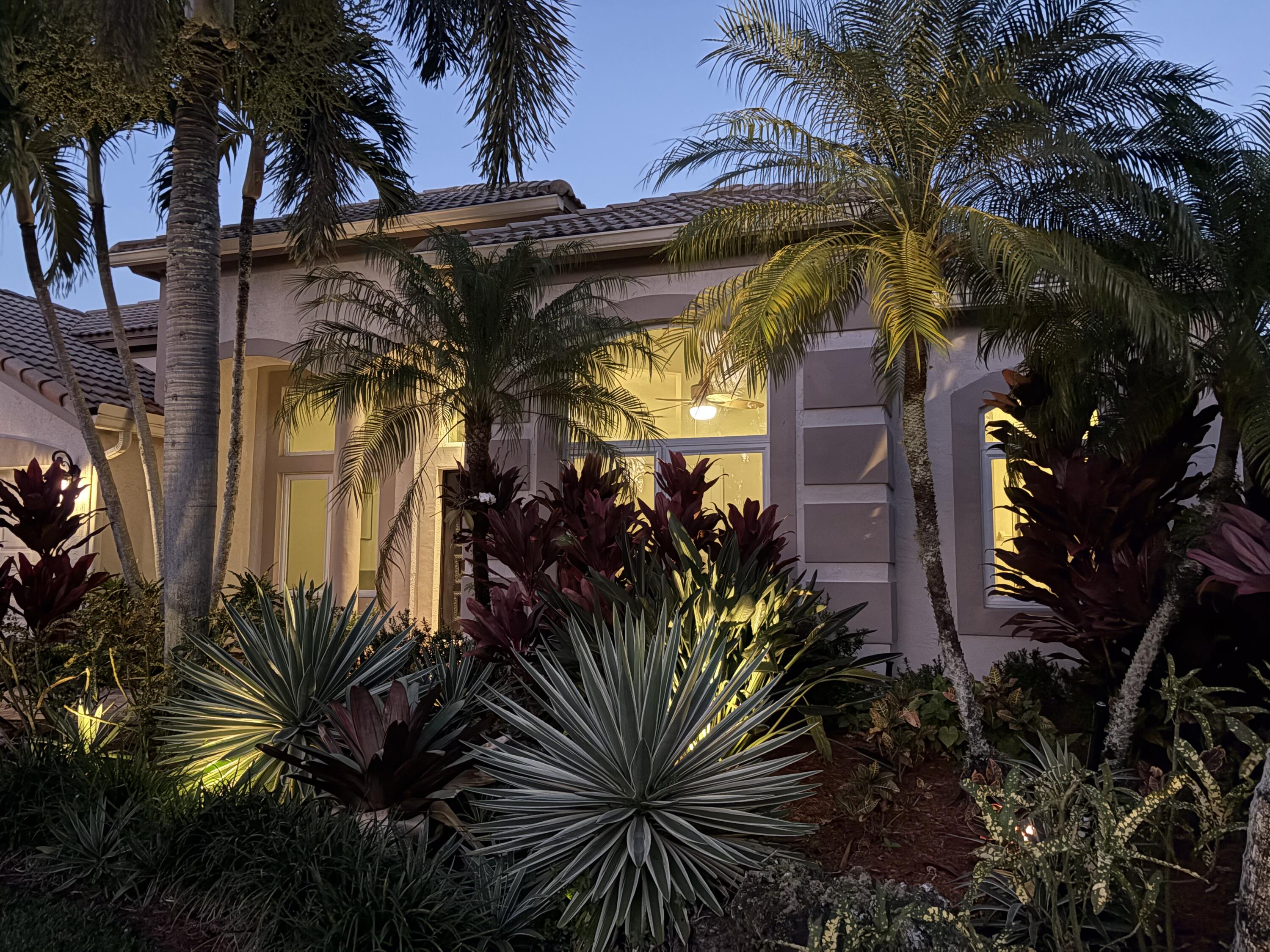 a view of a house with a tree