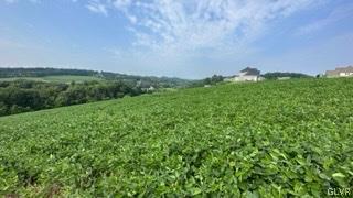 1970 Settlers Ridge Road Slatington, PA 18080 - Photo 10 of 19 Gallery Image 10