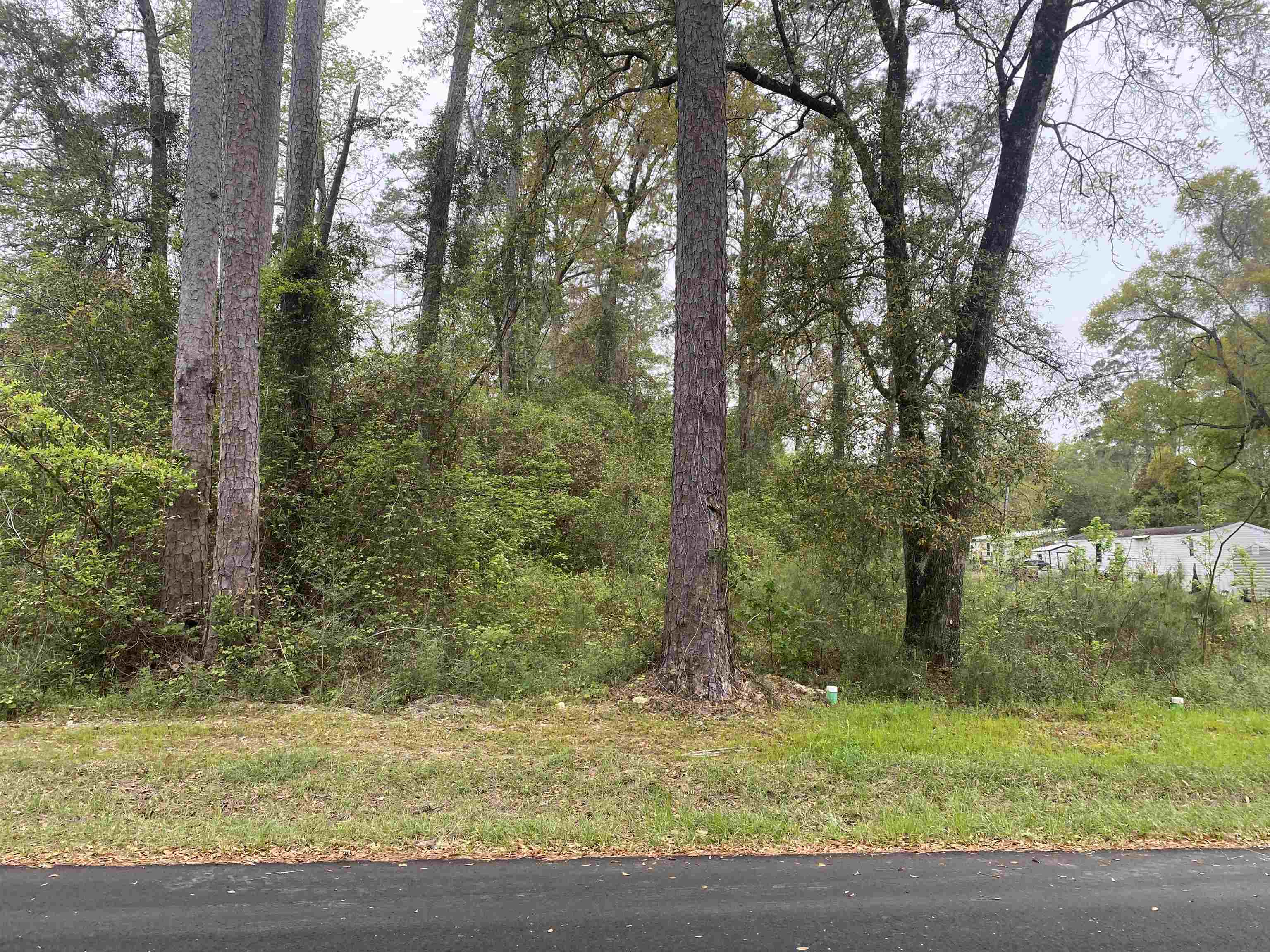 24 Maxson Road Crawfordville, FL 32327 - Photo 2 of 9 Gallery Image 2