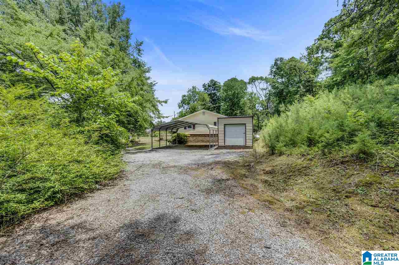 7 Mack James Road Empire, AL 35063 - Photo 4 of 26