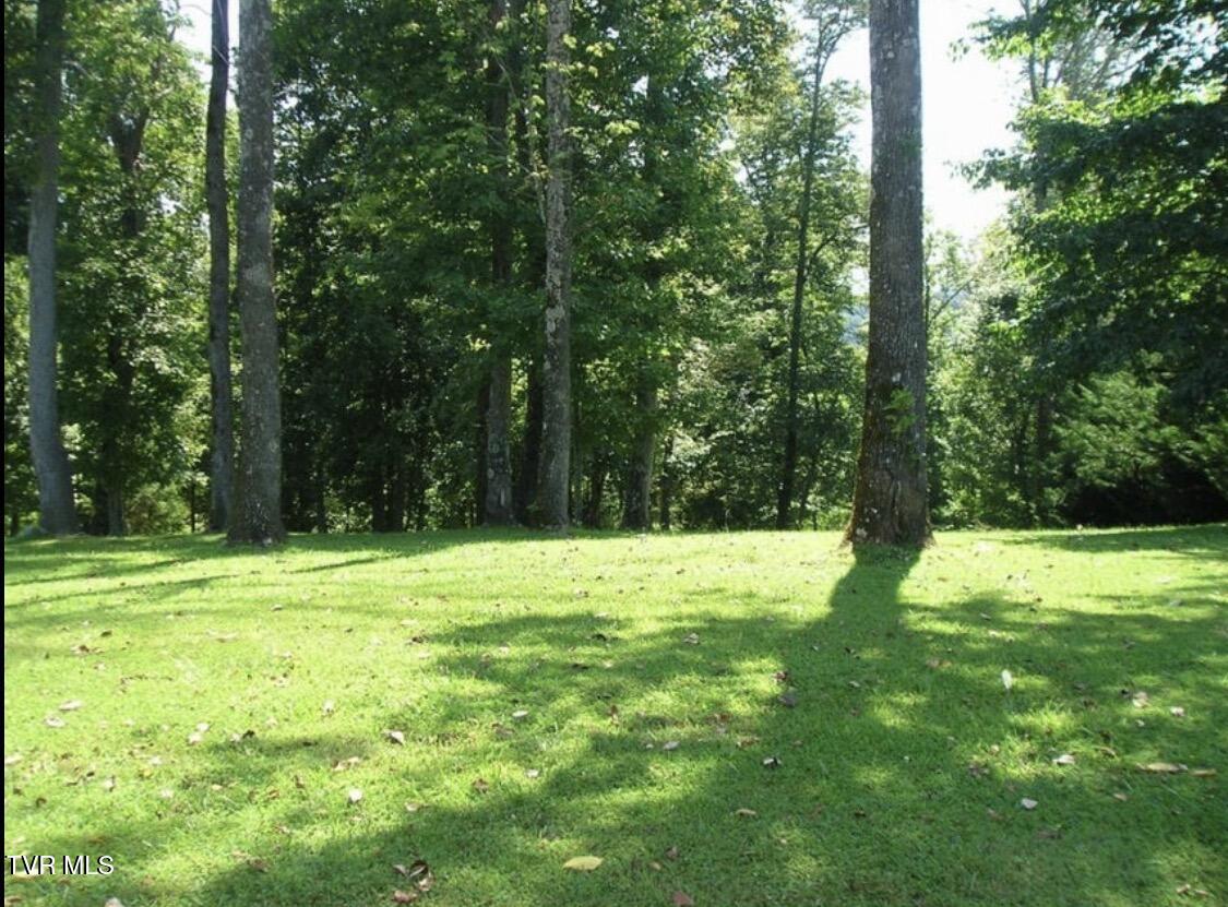 152 Allison Timbers Road, Unit 6 Piney Flats, TN 37686 - Photo 46 of 56 IMG_5366