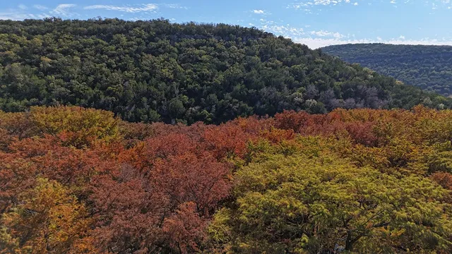 a front view of a house with a yard and large trees