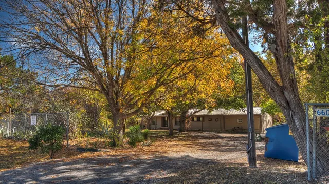 a view of large trees with yard