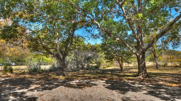 $629,000 | 6608 North N Highway, Leakey, TX 78873