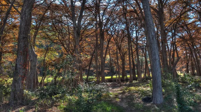 a view of a porch with a table and chairs