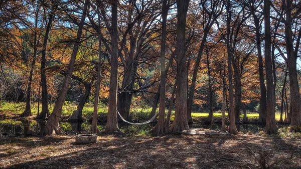 $629,000 | 6608 North N Highway, Leakey, TX 78873