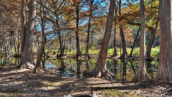 $629,000 | 6608 North N Highway, Leakey, TX 78873