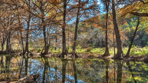 $629,000 | 6608 North N Highway, Leakey, TX 78873