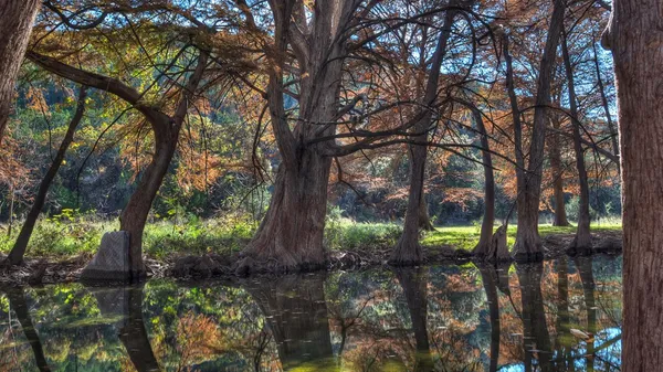 $629,000 | 6608 North N Highway, Leakey, TX 78873