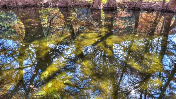 $629,000 | 6608 North N Highway, Leakey, TX 78873