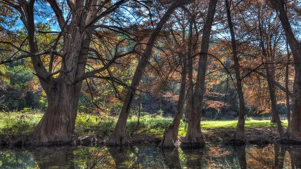 $629,000 | 6608 North N Highway, Leakey, TX 78873