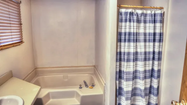 a view of water with a large tree